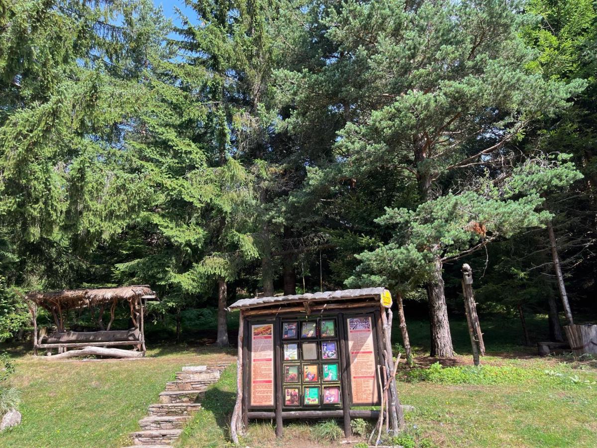 Апартамент Горска Приказка - Forest Tale Smolyan Exteriör bild