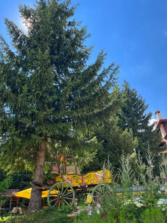 Апартамент Горска Приказка - Forest Tale Smolyan Exteriör bild